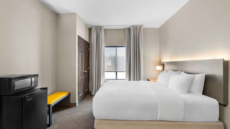 Comfort Suites Suite