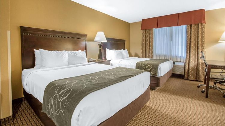Comfort Suites Suite