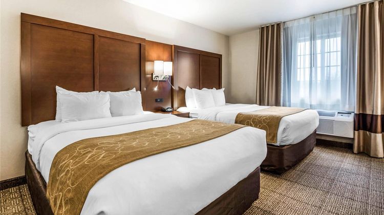 Comfort Suites at Par 4 Resort Suite