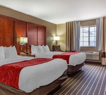 Comfort Suites Delavan-Lake Geneva Area Room