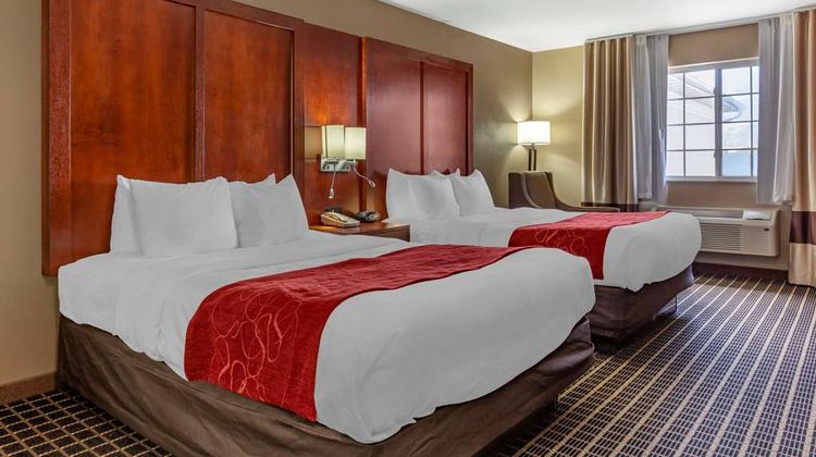 Comfort Suites Delavan-Lake Geneva Area Room