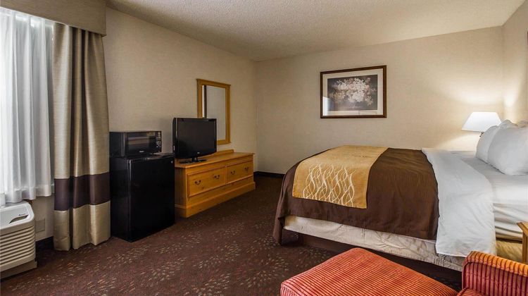 Comfort Inn Room