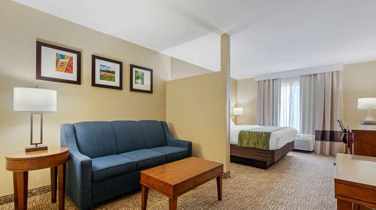 Comfort Inn Suite