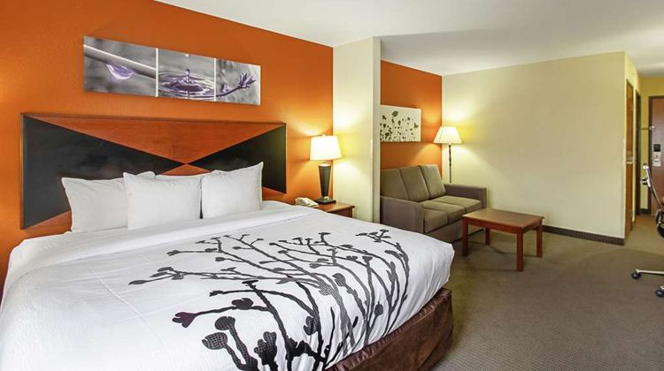 Sleep Inn & Suites Suite