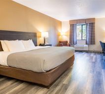 Quality Inn and Suites Room