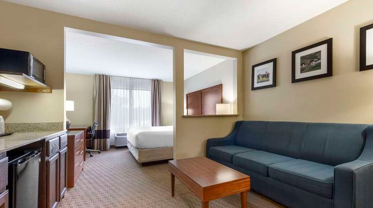 Comfort Inn & Suites Suite