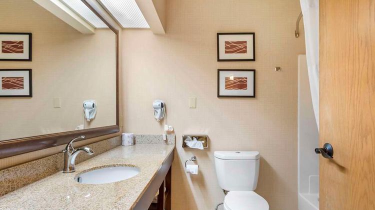 Comfort Inn & Suites Room