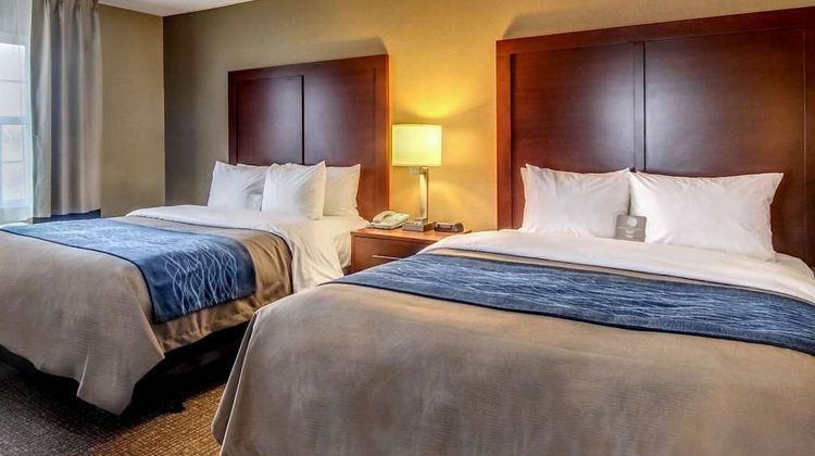 Comfort Inn & Suites Grafton Room