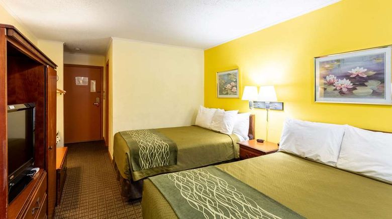 <b>Econo Lodge Morgantown Room</b>. Images powered by <a href="https://iceportal.shijigroup.com/" title="IcePortal" target="_blank">IcePortal</a>.