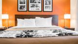 Quality Inn Bridgeport-Clarksburg Room