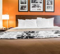 Quality Inn Bridgeport-Clarksburg Room
