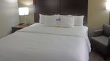 Comfort Inn New River Gorge Hotel Room