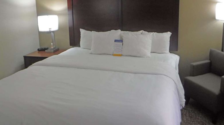 <b>Comfort Inn New River Gorge Hotel Room</b>. Images powered by <a href="https://iceportal.shijigroup.com/" title="IcePortal" target="_blank">IcePortal</a>.