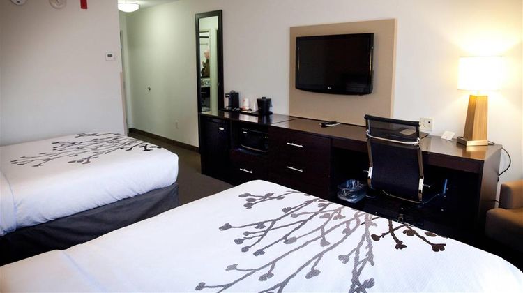 Sleep Inn And Suites Moundsville Room