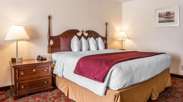 Quality Inn Room