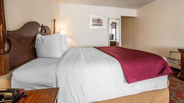 Quality Inn Room