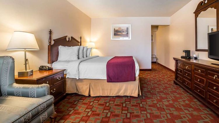 Quality Inn Room