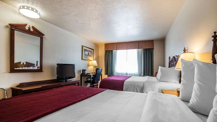 Quality Inn Room