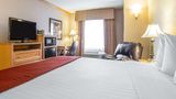 Quality Inn & Suites Room