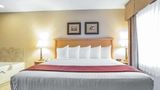 Quality Inn & Suites Suite