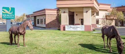 Quality Inn & Suites Exterior