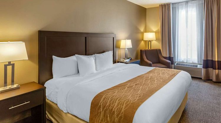Comfort Inn Evanston Room