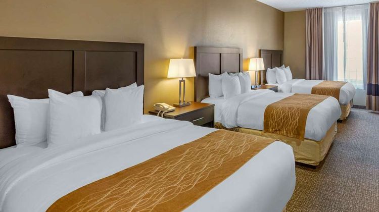Comfort Inn Evanston Room