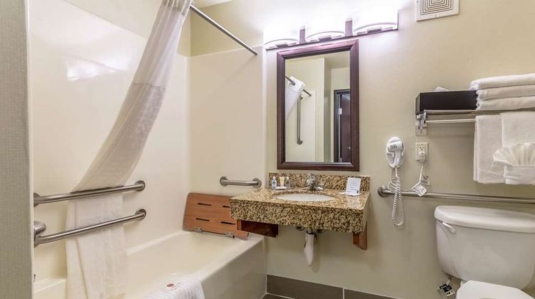 Comfort Inn & Suites Room