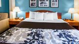 Sleep Inn and Suites Evansville - Casper Suite