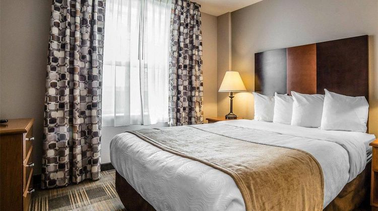 MainStay Suites Suite