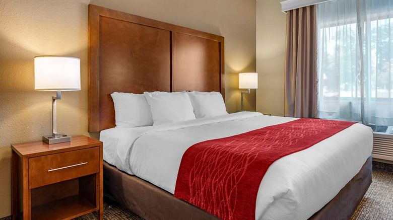 <b>Comfort Inn La Porte Room</b>. Images powered by <a href="https://iceportal.shijigroup.com/" title="IcePortal" target="_blank">IcePortal</a>.