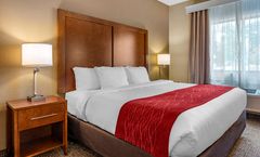 Comfort Inn La Porte