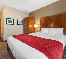 Comfort Inn La Porte Room