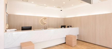Comfort Hotel Toyokawa Lobby