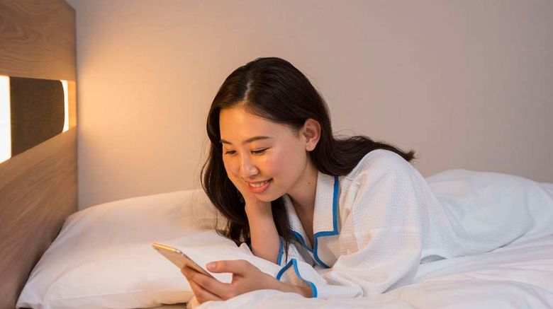<b>Comfort Hotel Wakayama Room</b>. Images powered by <a href="https://iceportal.shijigroup.com/" title="IcePortal" target="_blank">IcePortal</a>.