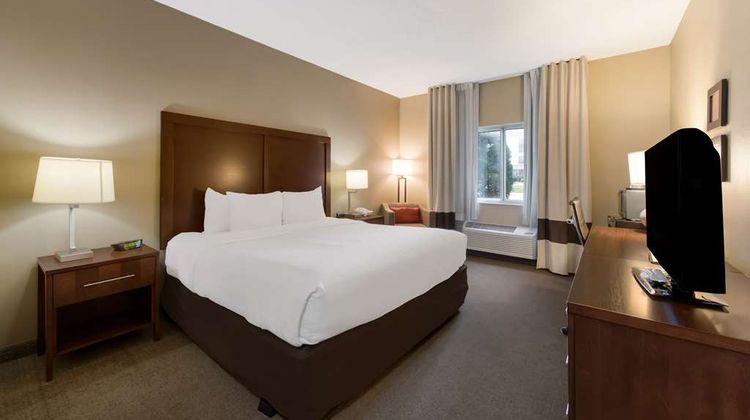 Comfort Inn Room