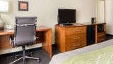 Comfort Inn Garden City Room