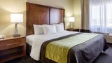 Comfort Inn Garden City Room