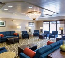 Comfort Inn Ottawa Lobby