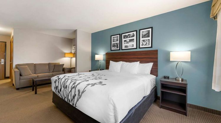 Sleep Inn And Suites Hays Suite
