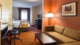 <b>Comfort Suites Airport Room</b>. Images powered by <a href="https://iceportal.shijigroup.com/" title="IcePortal" target="_blank">IcePortal</a>.