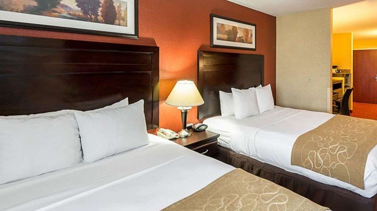 Comfort Suites Airport Suite