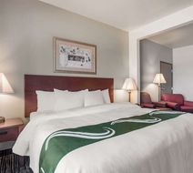 Quality Inn Room
