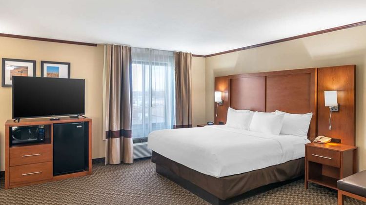 Comfort Suites Suite