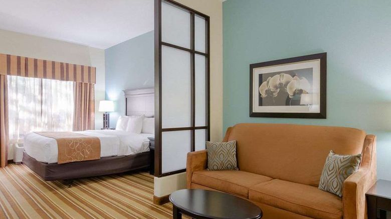 <b>Comfort Suites Suite</b>. Images powered by <a href="https://iceportal.shijigroup.com/" title="IcePortal" target="_blank">IcePortal</a>.