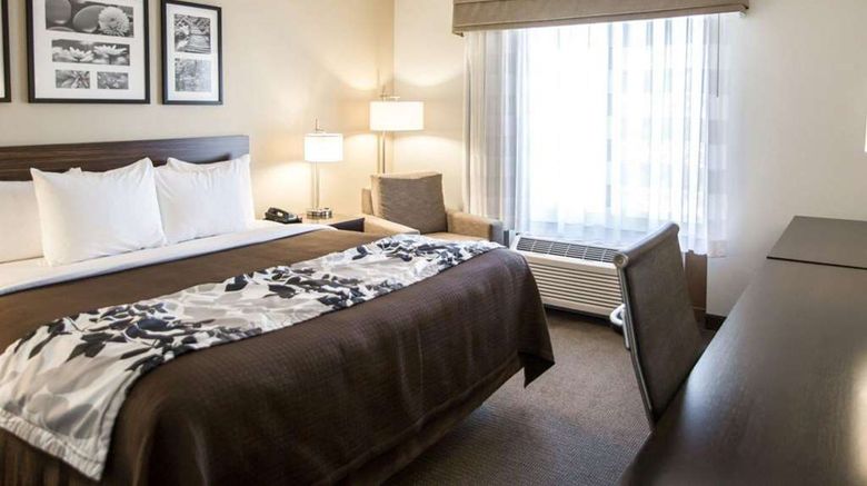 <b>Sleep Inn & Suites Room</b>. Images powered by <a href="https://iceportal.shijigroup.com/" title="IcePortal" target="_blank">IcePortal</a>.