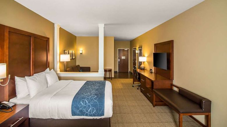 <b>Comfort Suites Dodge City Room</b>. Images powered by <a href="https://iceportal.shijigroup.com/" title="IcePortal" target="_blank">IcePortal</a>.
