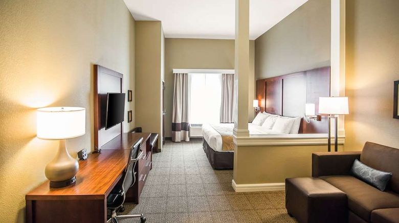 <b>Comfort Suites Dodge City Room</b>. Images powered by <a href="https://iceportal.shijigroup.com/" title="IcePortal" target="_blank">IcePortal</a>.