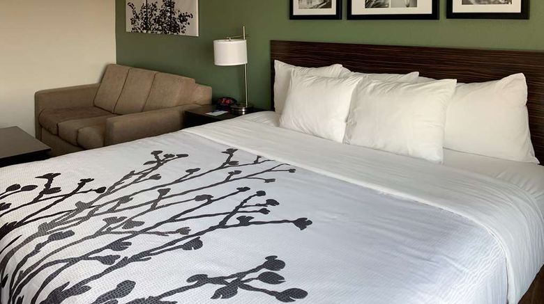 <b>Sleep Inn & Suites & Conference Center Suite</b>. Images powered by <a href="https://iceportal.shijigroup.com/" title="IcePortal" target="_blank">IcePortal</a>.