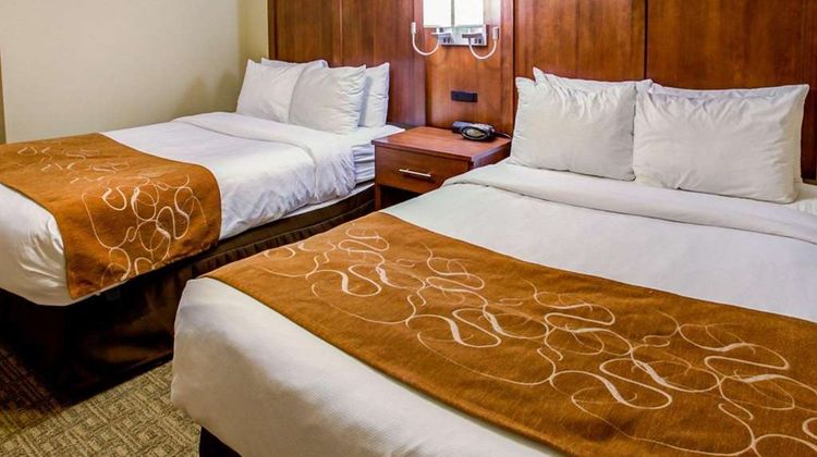Comfort Suites Georgetown Suite